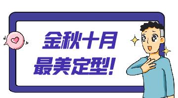 熱熔膠,邦林熱熔膠